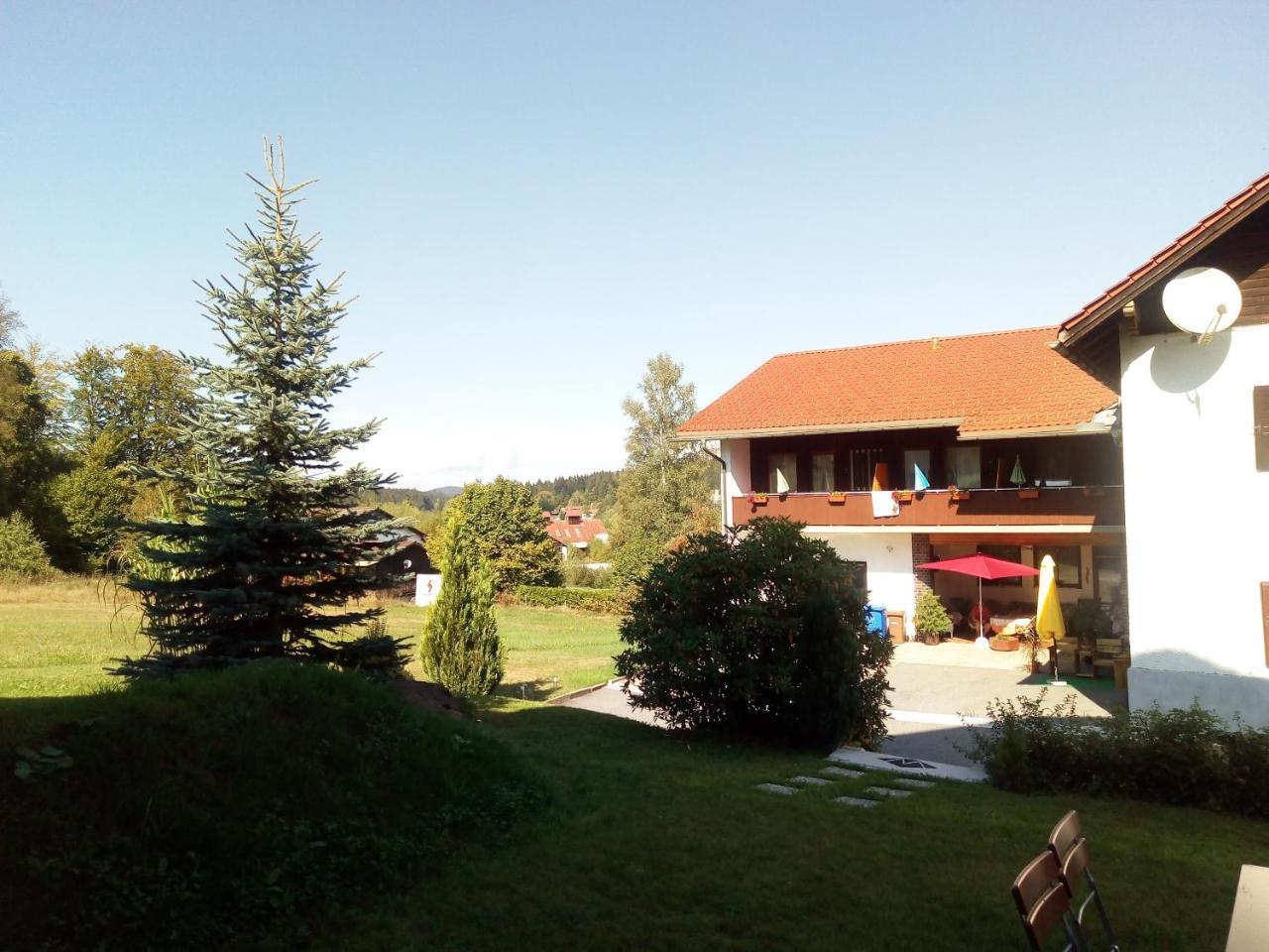 Pension Waldblick Spiegelau Dış mekan fotoğraf